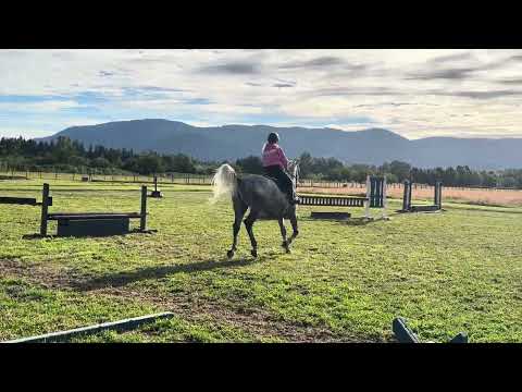 Colman WH video 1