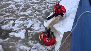 preview picture of video 'Video 2: Labrador rescued from ice by USCG Frankfort, Michigan'
