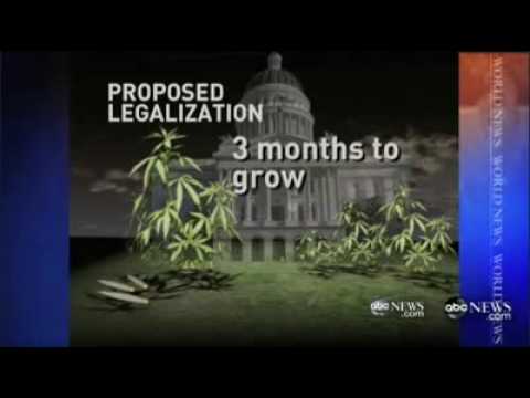 MPP's Bruce Mirken Defends Sensible Marijuana Regulation on ABC World News 07.12.2009