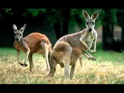 bolest & pendrek-2 versa i refren (hej hej hej)