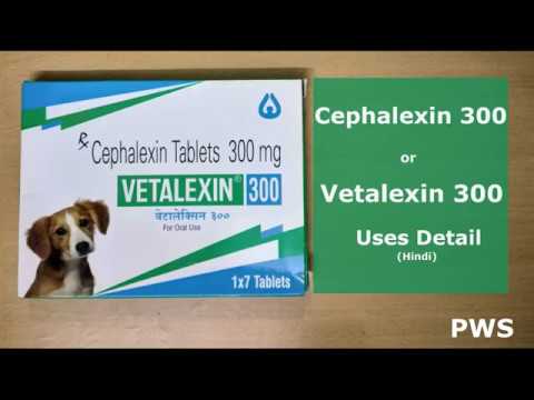 Cephalexin Tablet/Vetalexin for Dogs