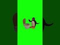 Pingu Throwing Up Green Screen
