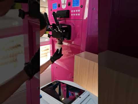 World Largest Ice Cream