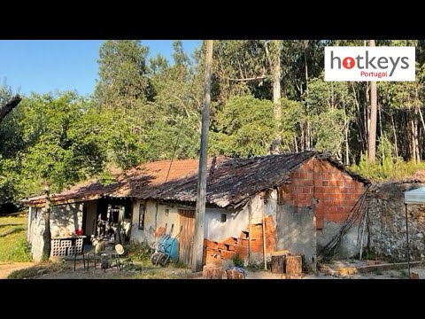 18 month TIMELAPSE building a NEW LIFE at our ruined farm in Portugal EP86