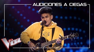 Lion canta &#39;Toxic&#39; | Audiciones a ciegas | La Voz Antena 3 2019