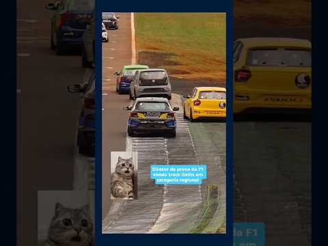 A arte de ignorar os limites da pista #automobilismo #racing #meme #shorts