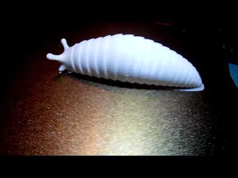 Anycubic Vyper vs. Mono X "Slugging" it out with the Slug model