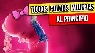 ¿QUÉ PASA CUANDO NACEMOS?