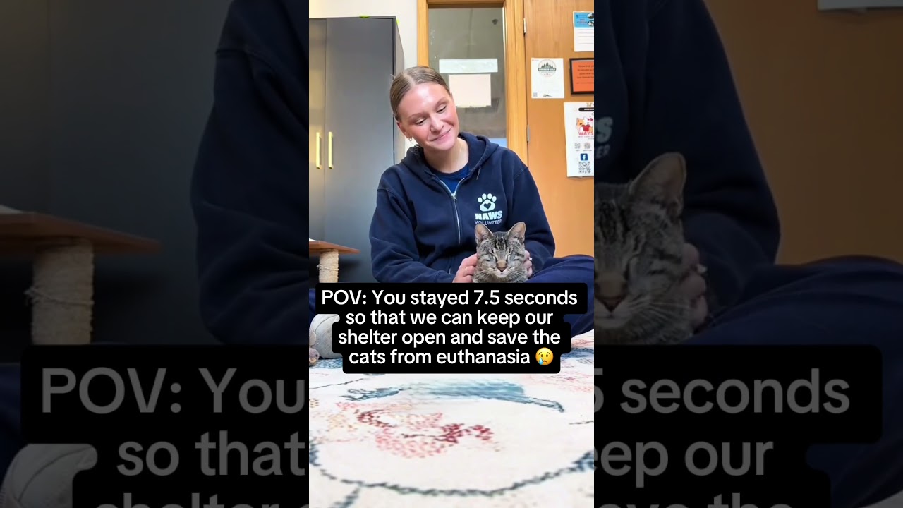 Support us ❤️‍🩹🙏