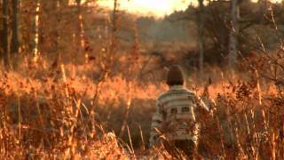 River Whyless - Cedar Dream Part III (Official Music Video)