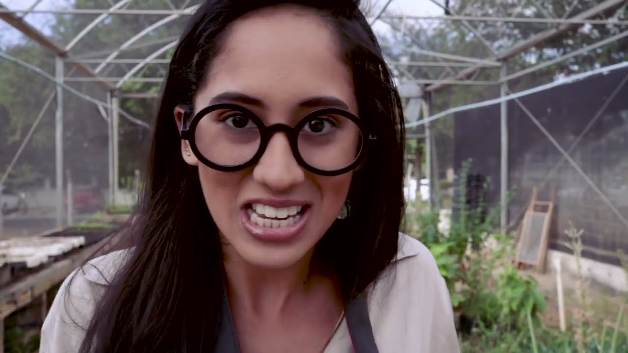 Biologia celular | Biologando