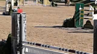 Breezy Beeker and What's Up GLEF 2017