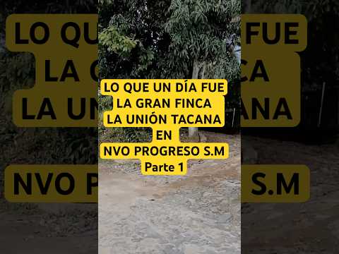 Lo Que Un Día Fue La Gran Finca La Unión “TACANA” En Nuevo Progreso S.M