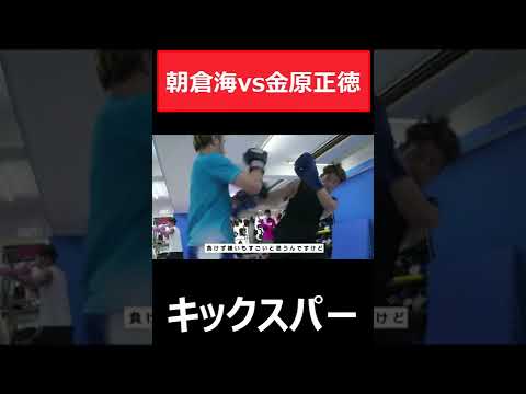 朝倉海vs金原正徳　スパーリング動画