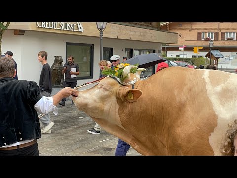 Züglete Gstaad 2022