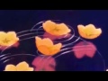 Tchaikovsky The Nutcracker Suite Dance Of The Reed Flutes