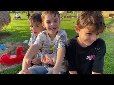 Videos del Recanto Do Teixeira 4★ en Nazaré Paulista, BrasilVer MásVerPrecios13CerrarConsulta por Whatsapp 🇦🇷BookingTripadvisorExpediaAgodaPricelineTripSkyscannerDespegarKayakHotelesBestdayTrivagoTurismocity