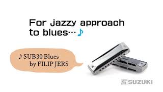 Suzuki 10-hole harmonica ULTRA BEND 