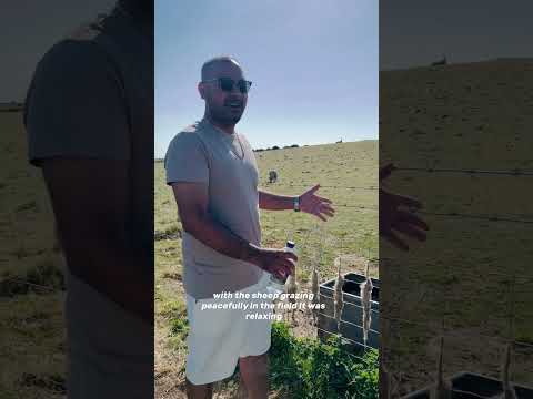 A day on cliff England 🏴󠁧󠁢󠁥󠁮󠁧󠁿