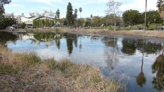 preview picture of video 'La Brea Tar Pits in Los Angeles, California (1080p HD)'