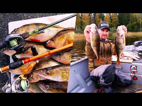 KARKEEMPAA AJOAHVENTA JIGILLÄ JA MORRILLA!