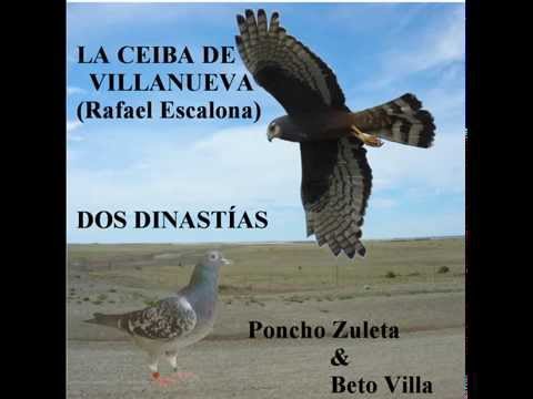 La ceiba de Villanueva (Rafael Escalona) - Poncho Zuleta  & Beto Villa (Letra)