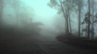 Max Richter - Harmonium