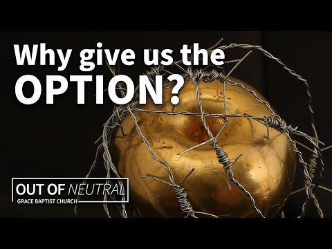 Why Didn’t God Just Keep Us From Sinning? | Out of Neutral