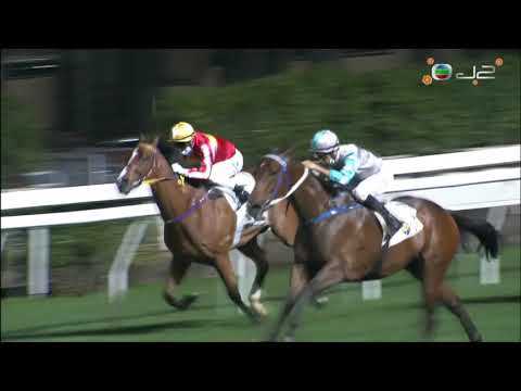 2020/21 (416) - Daily Beauty (日日靚) - 莫雷拉 (縮程更具威力排好位直路已望空中檔而上大熱取勝)