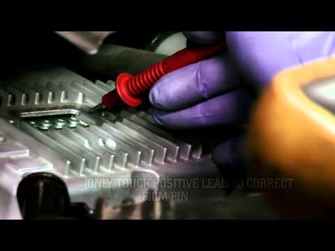 FICM Test
