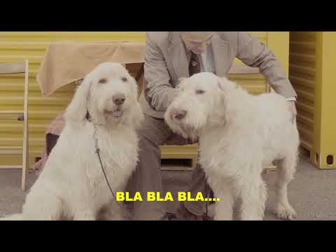 Stereoface - You Bark I Bite