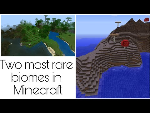 Kota Gaming Centre - Two most rare biomes in Minecraft #shorts