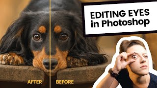 Easy way to make pets eyes POP! | Retouching Eyes in Photoshop with Curves Adjustment Layers