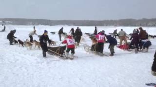 preview picture of video 'TRAPLINE CHALLENGE DOGSLED RACE'