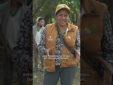 Entrega en Sahagún, Córdoba ñ.