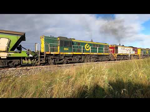 872, 852 & 864 at Albert NSW.  Mon 22nd Nov 2021