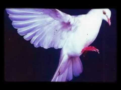 How Am I Supposed To Live Without You - 👑Sax🎷Alto