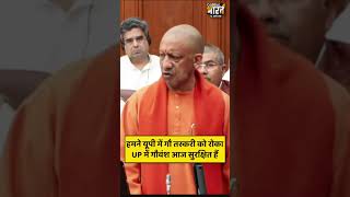 हमने यूपी में गौ तस्करी को रोका UP में गौवंश आज सुरक्षित हैं - CM yogi
