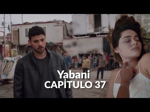 Yabani (Wild) Chapter 37 - Rüya's death.