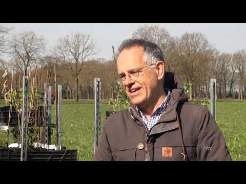 Voedselbos Vessem deel 1 van 3