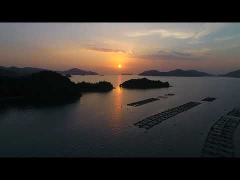 やまぐち映像図鑑 NO.048 夕日岬［下松市］ | Yuhi Cape [ Kudamatsu-city