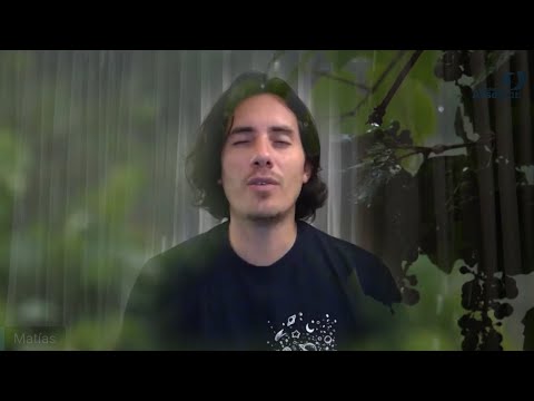 Day 332 Alineación en Español ILLUVIA - Matias De Stefano - Spanish only