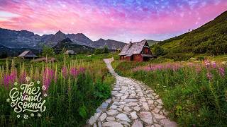 Download lagu ♫ Best Progressive House Mix 2025 Vol. #4 ♫ mp3