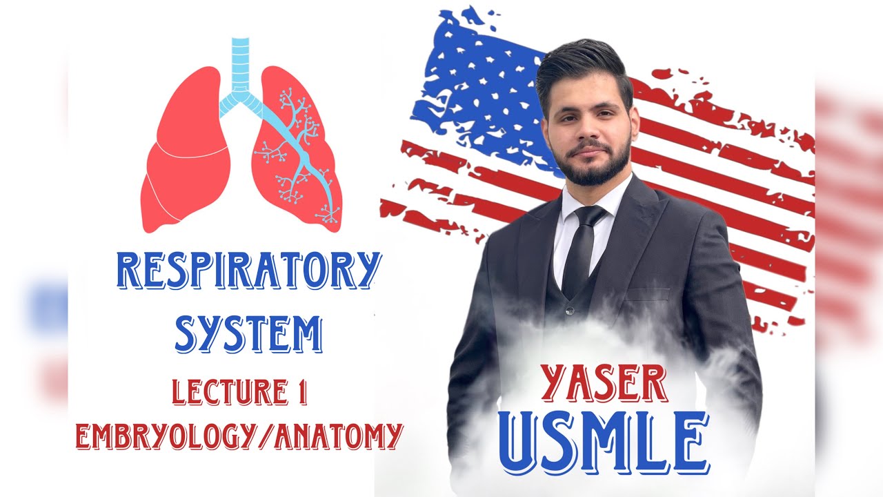 Respiratory Lecture 1 (Embryology & Anatomy) USMLE Step1, Dr Yaser