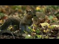 The Narrow Escape Worth Watching Short Film