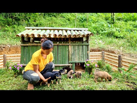 BAMBOO HOUSE: HOW TO BUILD BAMBOO HOUSE FOR DOG 2021 | Bushcraft vn - Ep.51