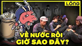 Những lợi ích và khó khăn của việc đi xuất khẩu lao động