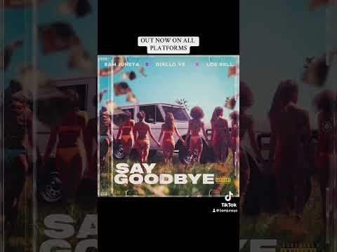 Bam Juneya - Say Goodbye ft. Diallo Ve & Los Rell (Audio)