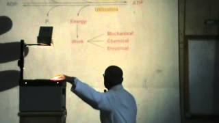 6) Dr.Rasheed 27/03/2014 [DNA : Structure & importance of nucleotides]