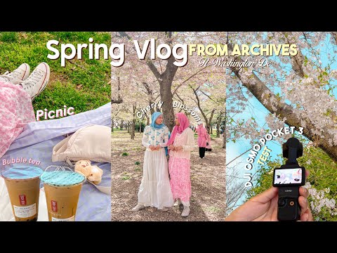 The Spring I Turned Pretty 🌸 ₊˚⊹ A spring vlog from archives ✿˖˚ft. Dji osmo pocket 3 ˙✧˖°📷